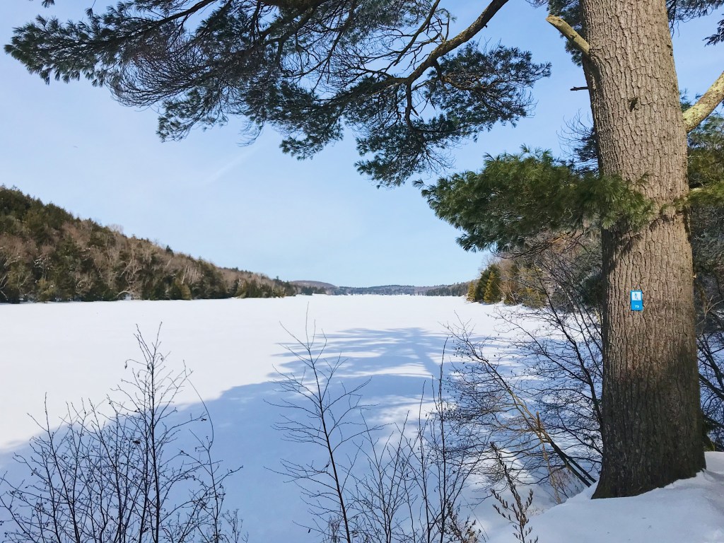 Snowshoeing around Philippe Lake in Gatineau Park Audelà du paysage